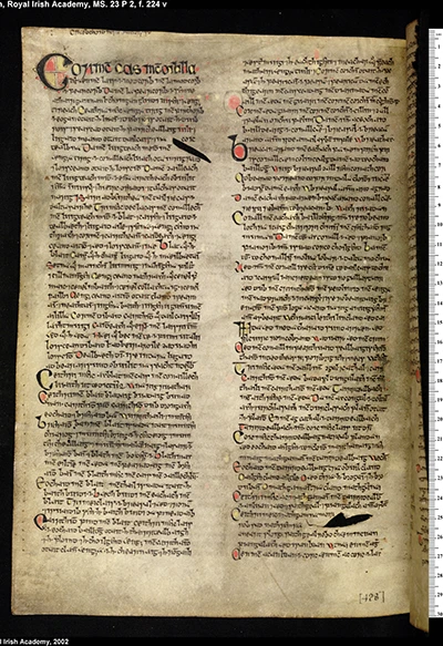 Book of Lecan, RIA MS 23 P 2, folio 224 verso, opening of the Dal Cais genealogical tract